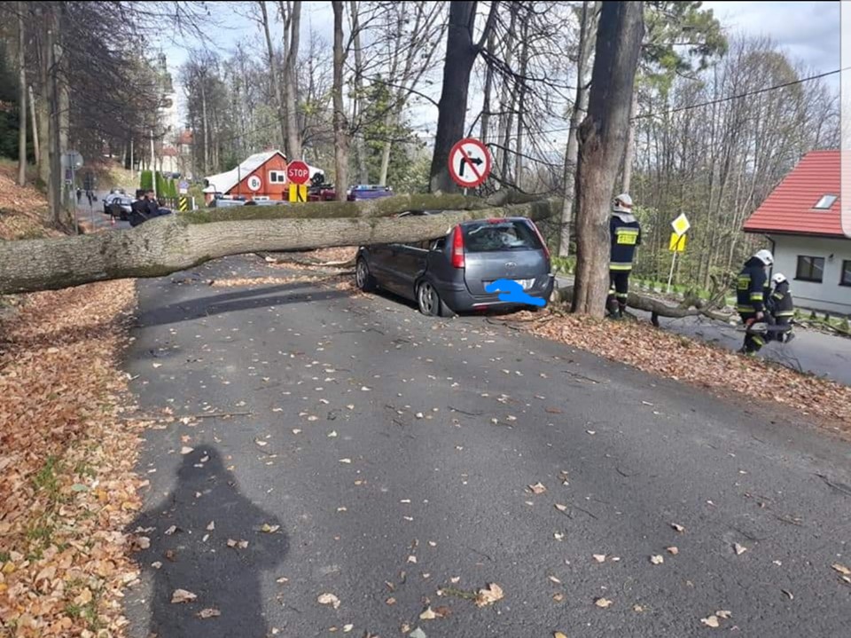 Drzewo spadło na samochód mamNewsa.pl