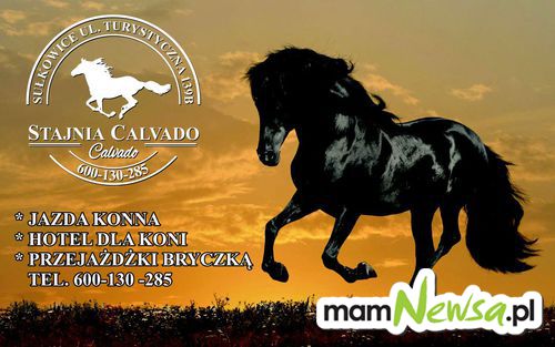 Stadnina koni Calvado w Sułkowicach zaprasza....