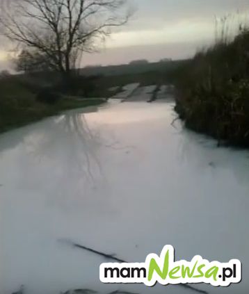 Ktoś poważnie zanieczyścił rzekę [AKTUALIZACJA]