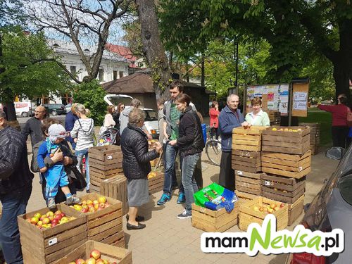 W centrum Andrychowa rozdają jabłka! [FOTO]