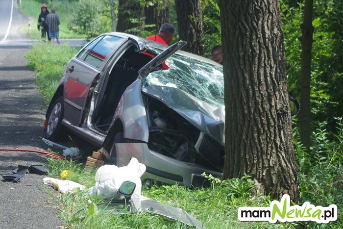 Samochód uderzył w drzewo [FOTO] mamNewsa.pl