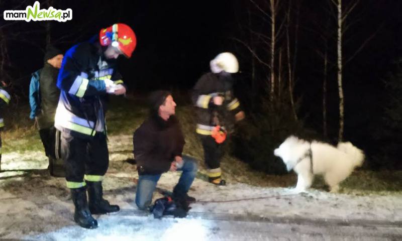 Strażacy uratowali psy, które dryfowały na krze