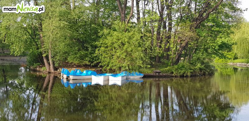 Na staw w Andrychowie wracają łódki i rowerki wodne