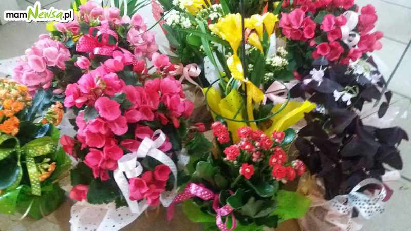 Kwiaciarnia Zielona Wstążeczka w Bulowicach na Dzień Mamy
