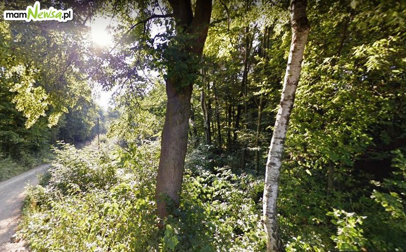 Zaginiona  60–letnia mieszkanka została odnaleziona w lesie