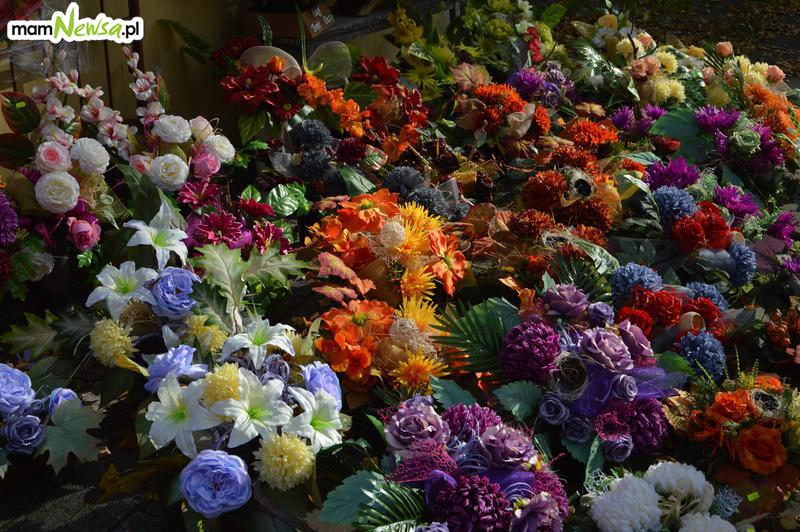 Kwiaciarnia w Pałacu Bobrowskich zaprasza