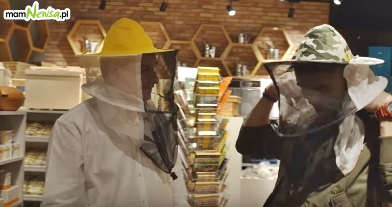 Wszystko, co chcielibyście wiedzieć o pszczołach [VIDEO]