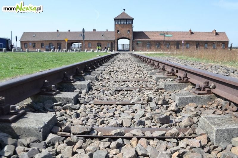 Amerykanin odpowie za kradzież w muzeum Auschwitz – Birkenau