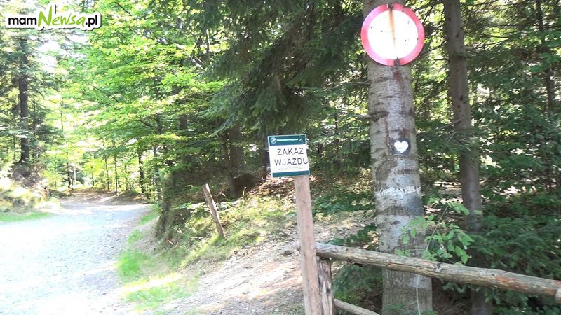 Mieszkańcy mają dość  quadów i motocykli crossowych w lasach i na szlakach turystycznych