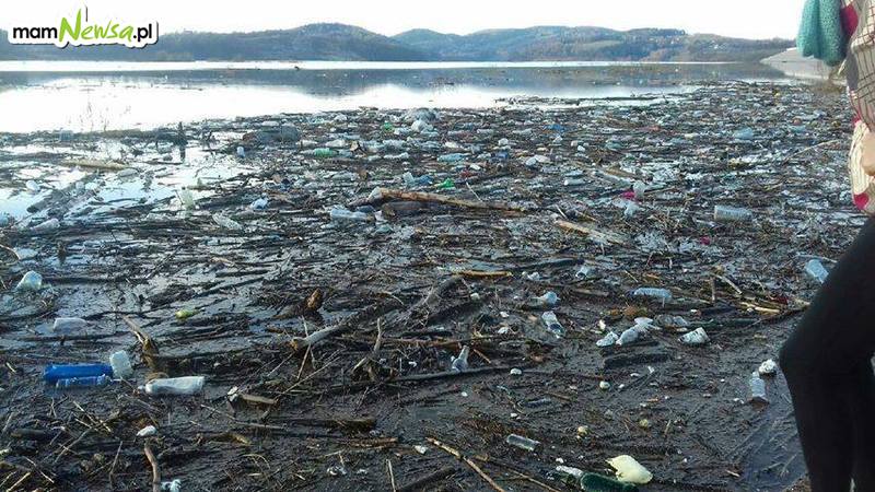 Jezioro Mucharskie: śledztwo policji w sprawie śniętych ryb i akcja sprzątania zbiornika