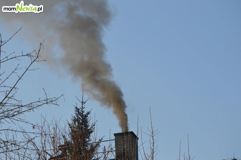 Ludzie chętnie informują urzędników, jeśli widzą kłęby dymu wydobywające się z komina sąsiada