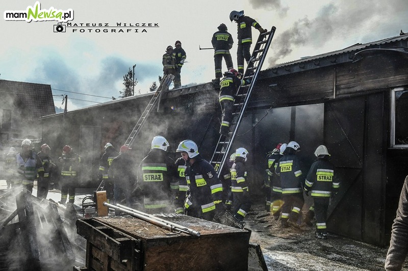 Duży pożar, 50 strażaków w akcji