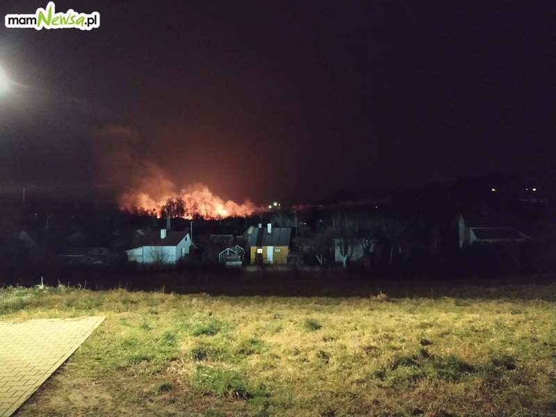 Kolejny pożar traw w Andrychowie [FOTO]