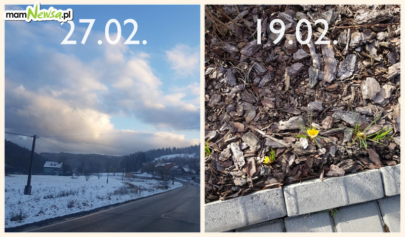 Foto dnia. Wiosna w Targanicach