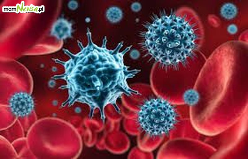 Koronawirus COVID-19: Jak wzmocnić odporność na choroby i wirusy - iFitt