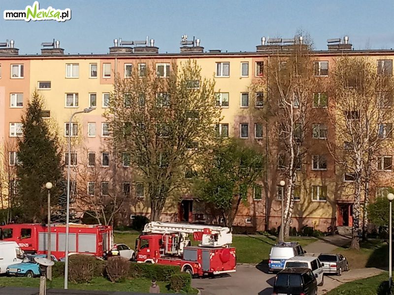 Akcja strażaków na osiedlu w Andrychowie