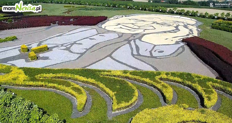 Nowa kamerka online z widokiem na Ogrody Jana Pawła II w Inwałdzie