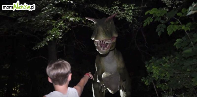 Dinozaury po zmroku w Zatorlandzie [VIDEO]