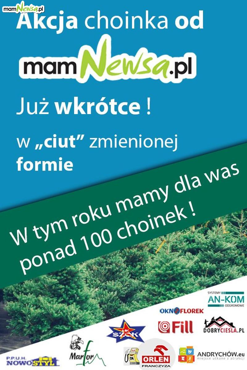 W grudniu jak zwykle choinki na święta od mamNewsa.pl