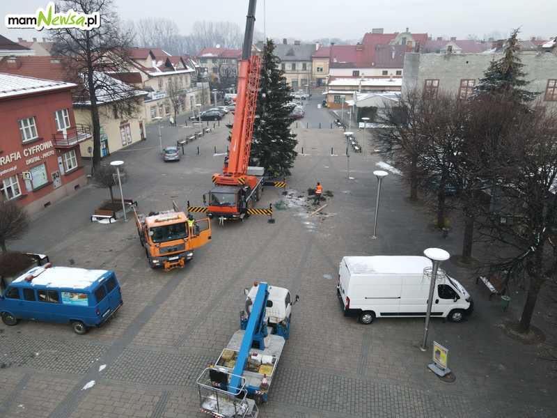 Świąteczna choinka stanęła na placu Mickiewicza w Andrychowie [FOTO]