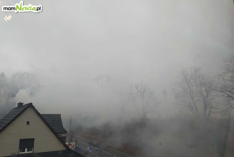 Siwy dym nad Krakowską, interweniują strażacy