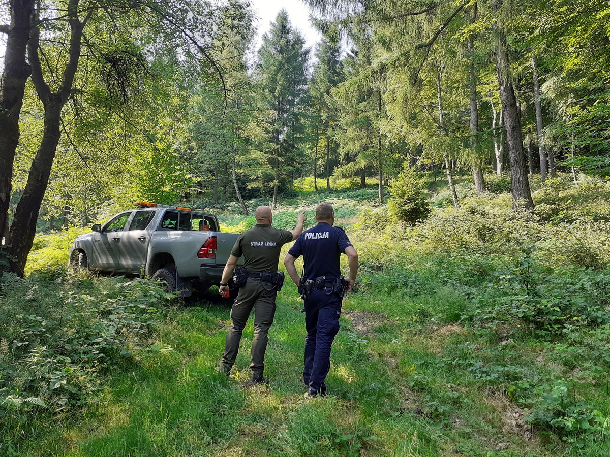 Akcja policji i straży leśnej w lasach. Kto może się obawiać?