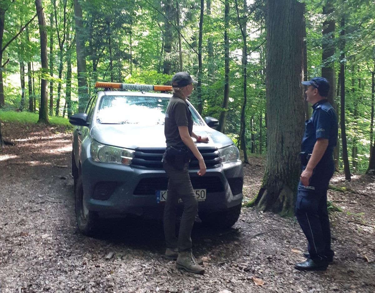 Kolejna akcja straży leśnej i policji w lasach