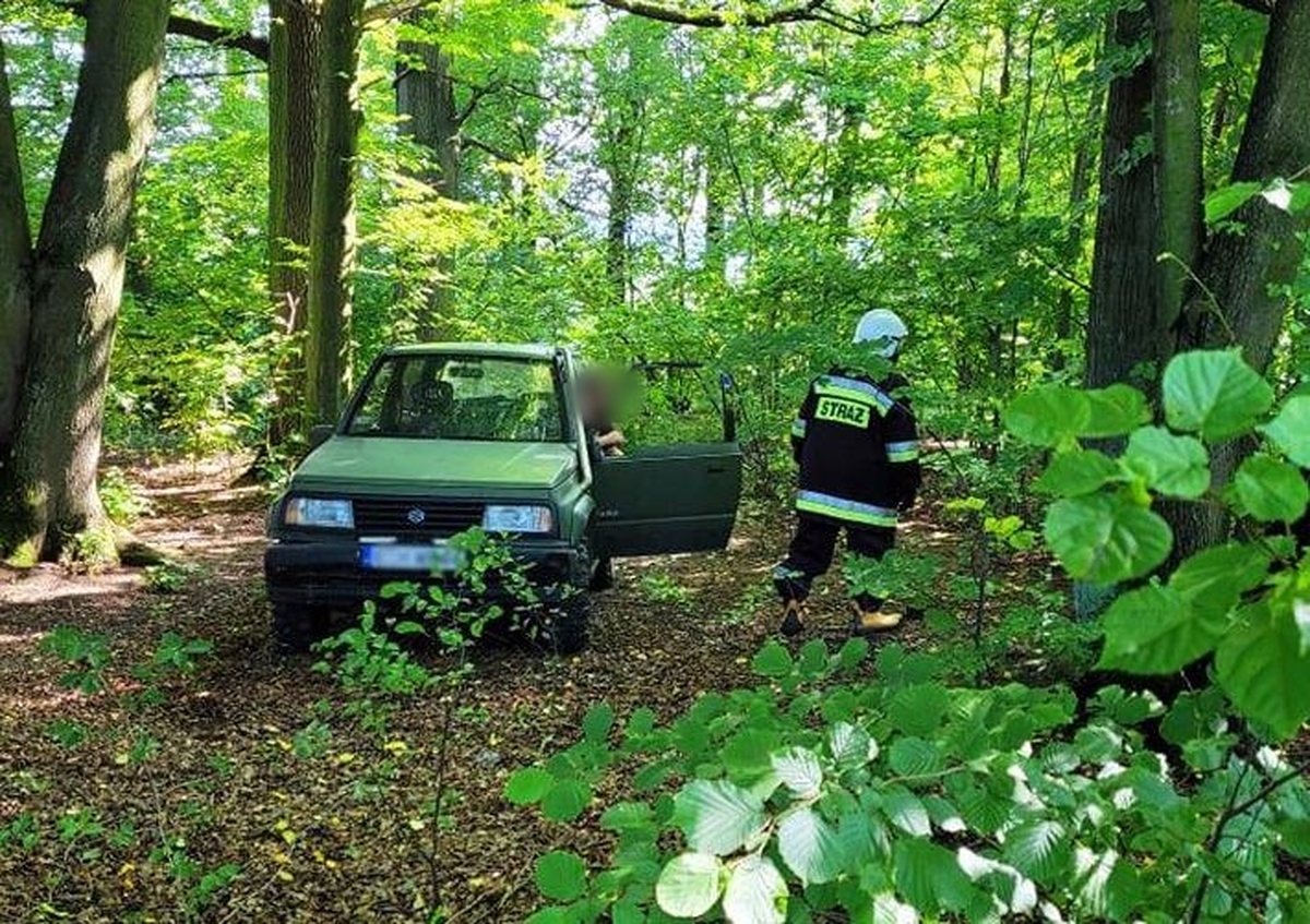 Interwencja służb ratowniczych w lesie. Strażacy chwalą postawę zgłaszających