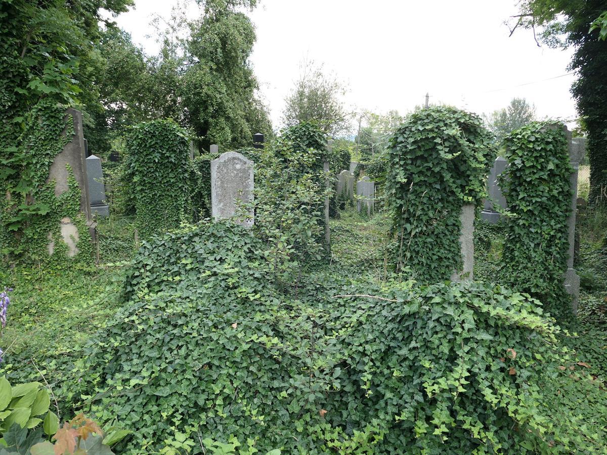 Zaniedbany cmentarz w Andrychowie straszy. Kto za to odpowiada?
