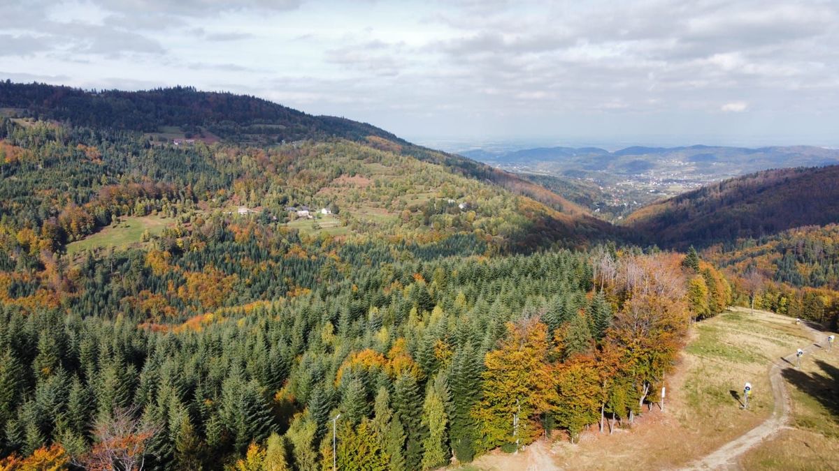 Kolory jesieni w Beskidach [VIDEO, FOTO]