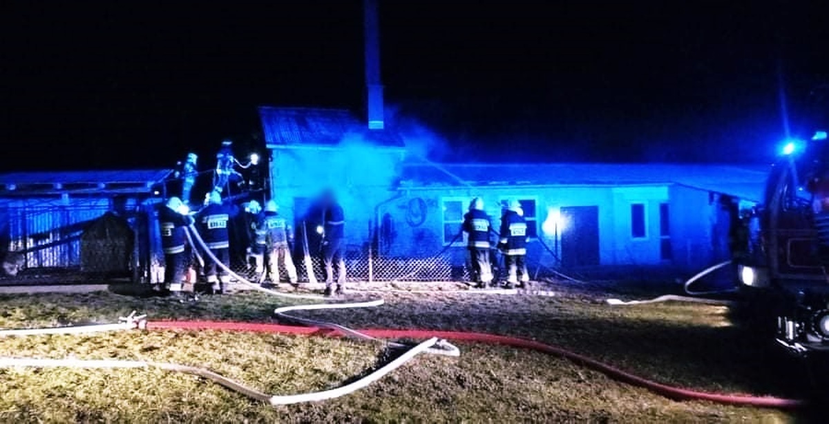 Pożar warsztatu, interweniowali strażacy z kilku jednostek