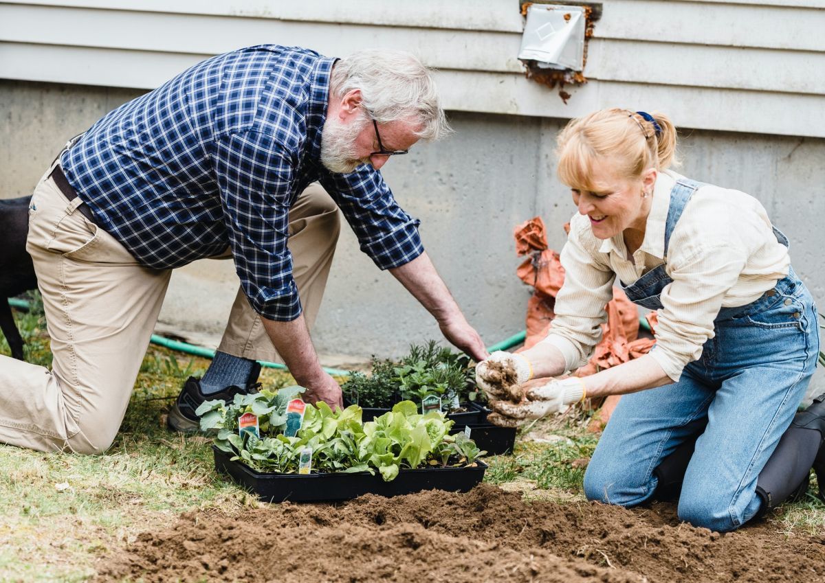 Zielona terapia dla seniorów. Fundacja stworzy ogród, by pomóc pensjonariuszom DPS