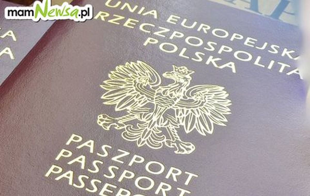Rekordowa liczba wniosków o paszport! Najwięcej od 20 lat