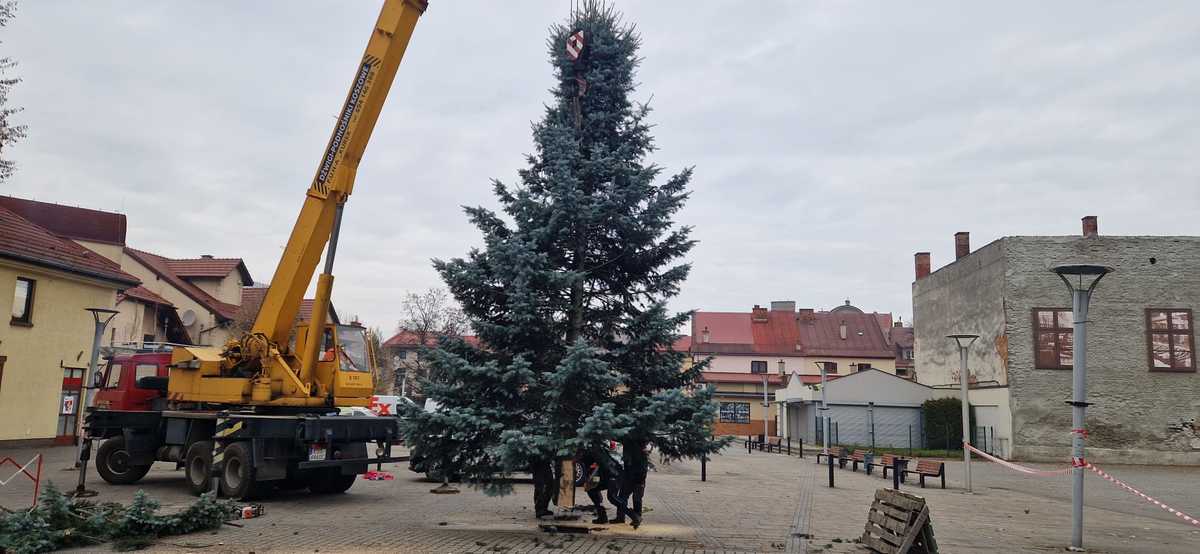 Na placu Mickiewicza stanęła wielka świąteczna choinka