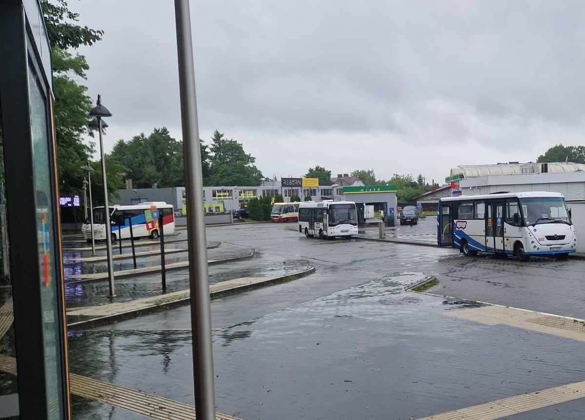 Jest cennik biletów dla nowej linii autobusowej Andrychów - Wadowice