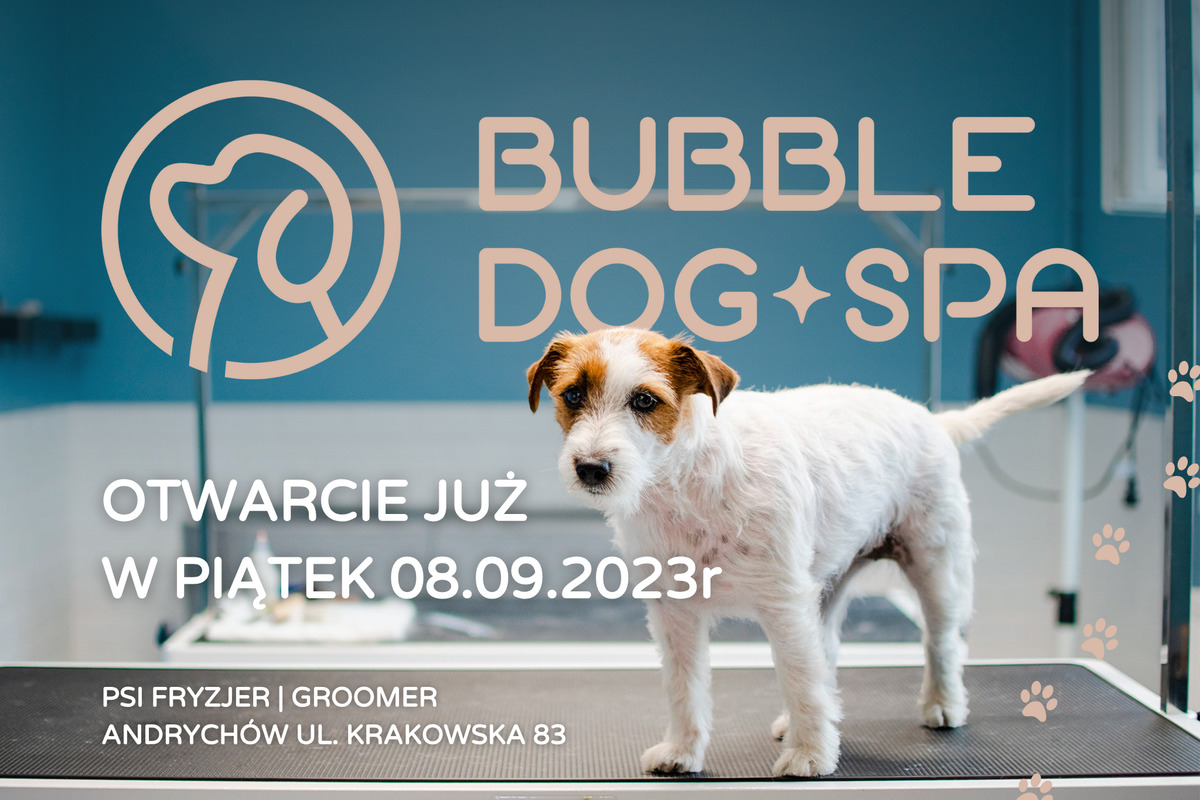 Bubble Dog SPA w Andrychowie – otwarcie już 8 września!