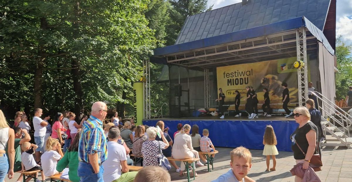 Festiwal Miodu i Rękodzieła [FOTO]