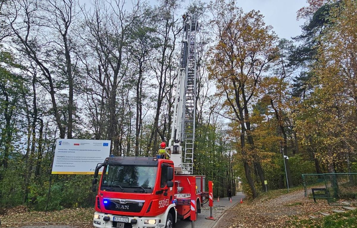 Akcja strażaków w rejonie ogródków działkowych w Andrychowie