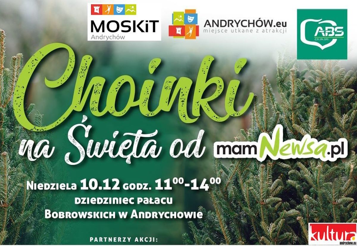 Choinki na święta od mamNewsa.pl. Andrychowska Wigilia. Już w niedzielę!