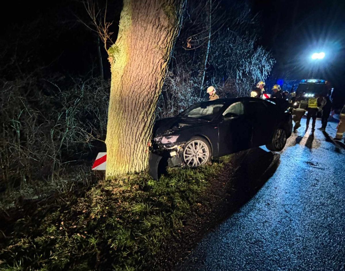 Kolizja na drodze Andrychów - Zator, auto roztrzaskane na drzewie