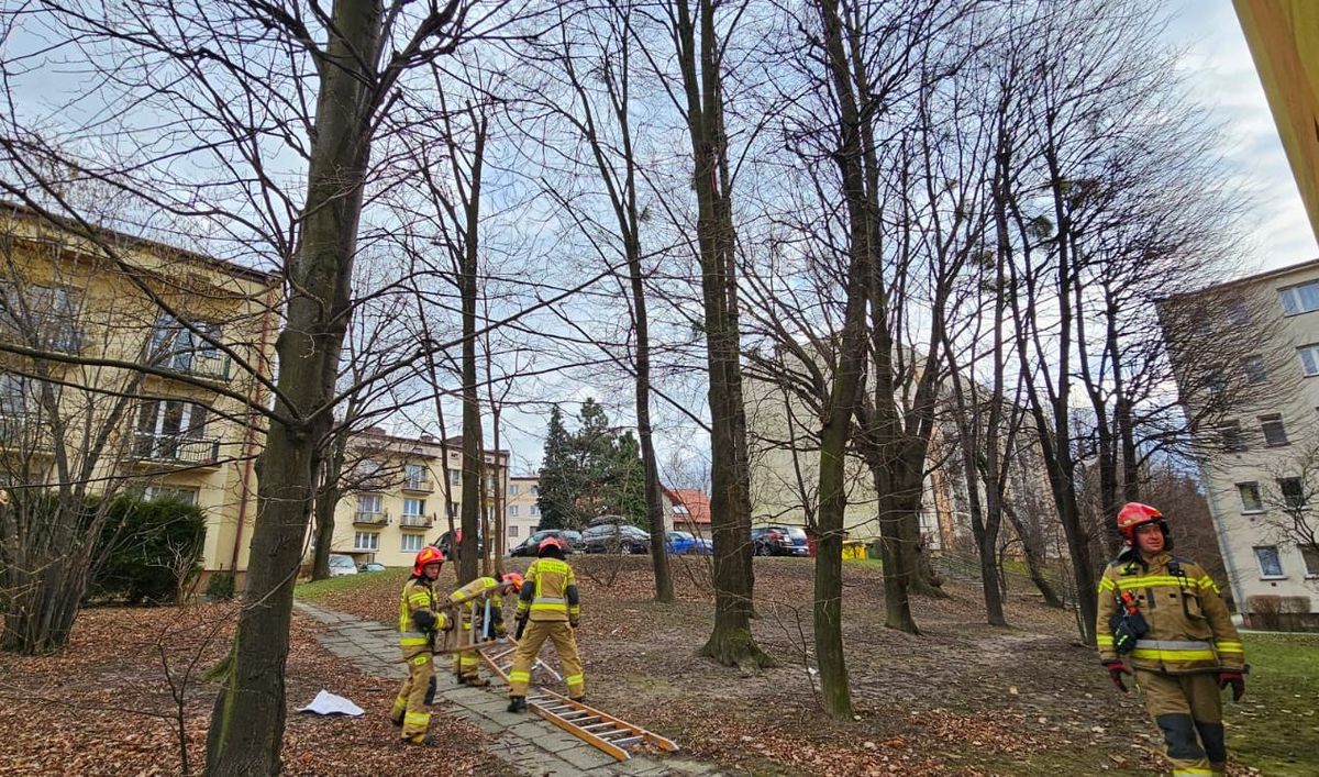 Nietypowa interwencja strażaków z Andrychowa [FOTO]