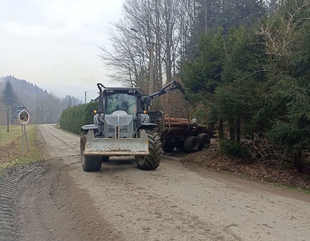 Mieszkańców denerwują prace leśne. Skarżą się, że wywóz drewna niszczy drogę [FOTO]