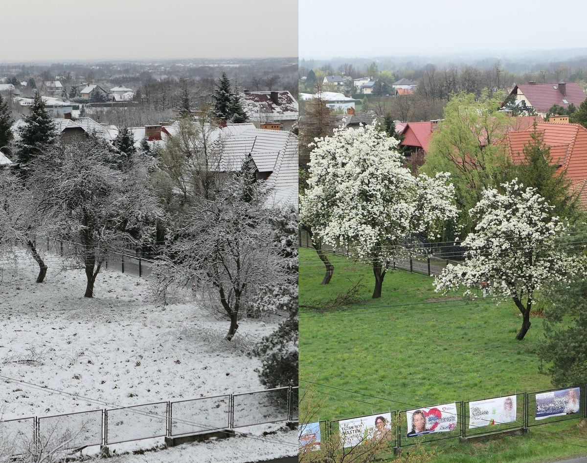 Wiosna w Andrychowie trzy lata temu i teraz