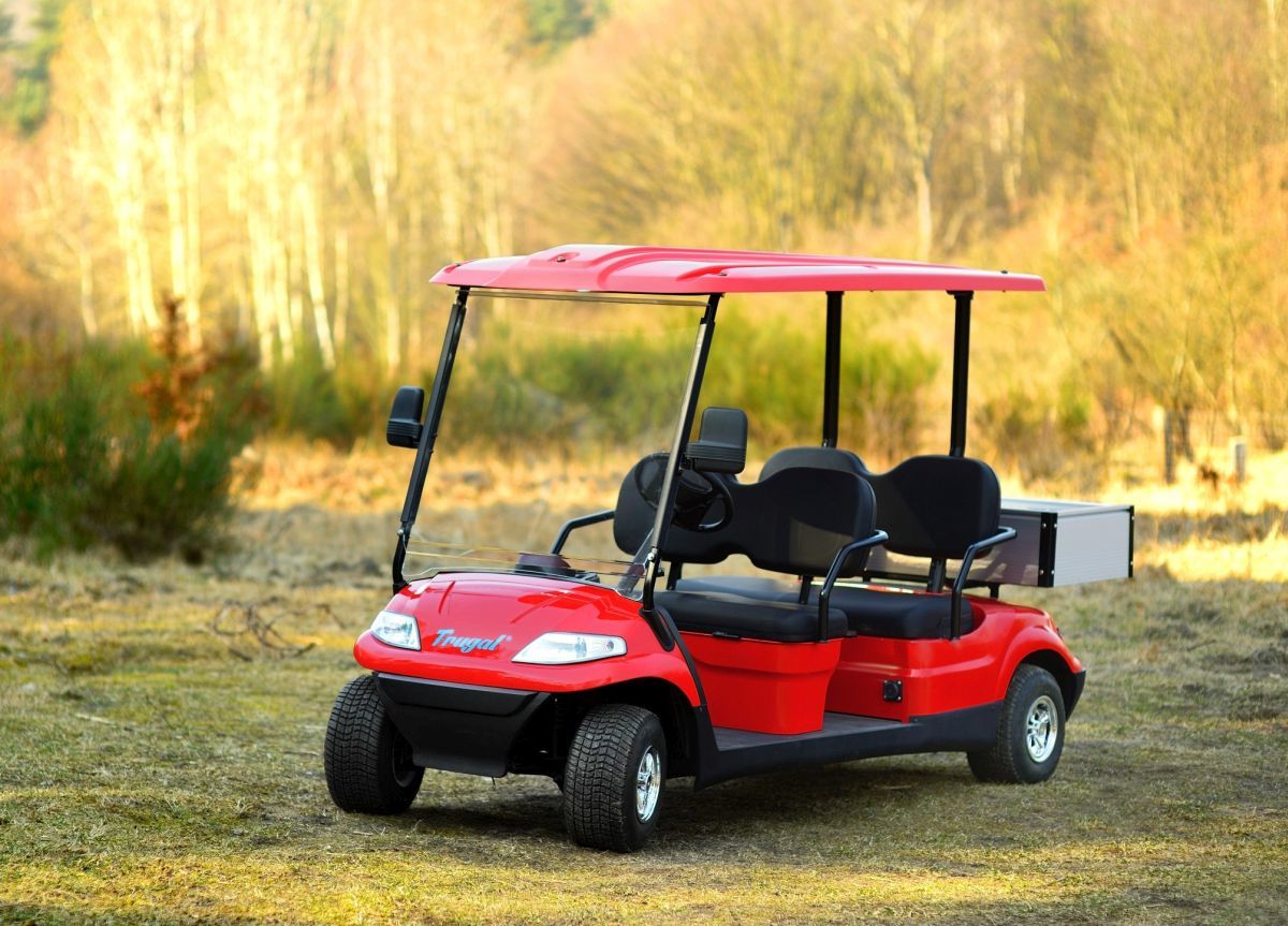 Czym cechują się pojazdy turystyczne i elektryczne wózki golfowe?