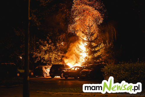 Pożar na osiedlowym parkingu, płonęły samochody [FOTO]